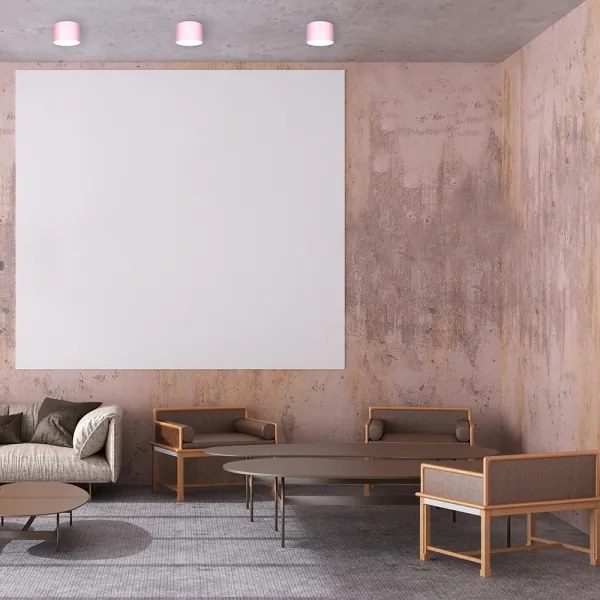 Spot DIXIE 1xGX53/11W/230V roz