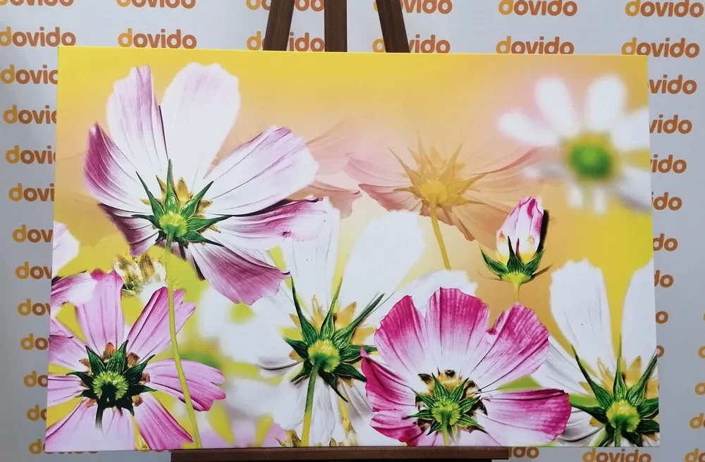 Tablou flori de vară