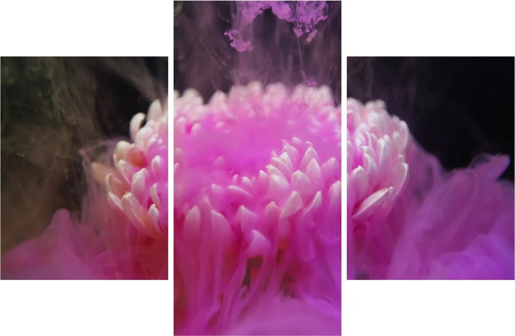 Tablou cu floare în fum roz (90x60 cm)