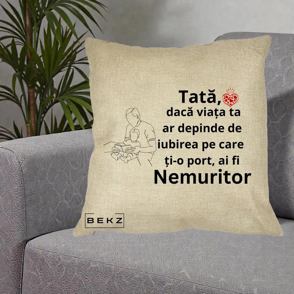 Cadou pentru Tata - Perna Personalizata Tata Nemuritor Lectura, 40x40 cm, Crem, Husa Detasabila, Perna Inclusa, BEKZ®