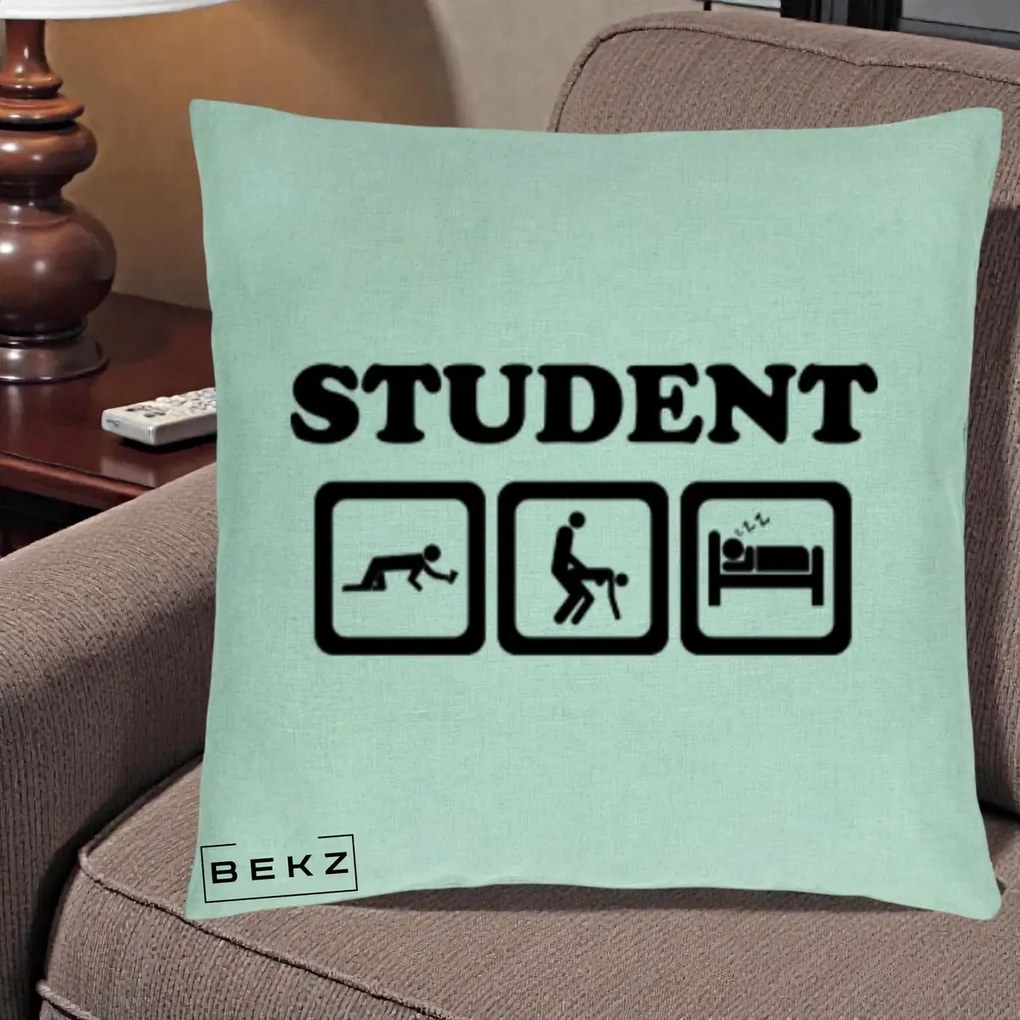 Perna Decorativa Student Life, 40x40 cm, Verde Menta, Husa Detasabila, Perna Inclusa, BEKZ®