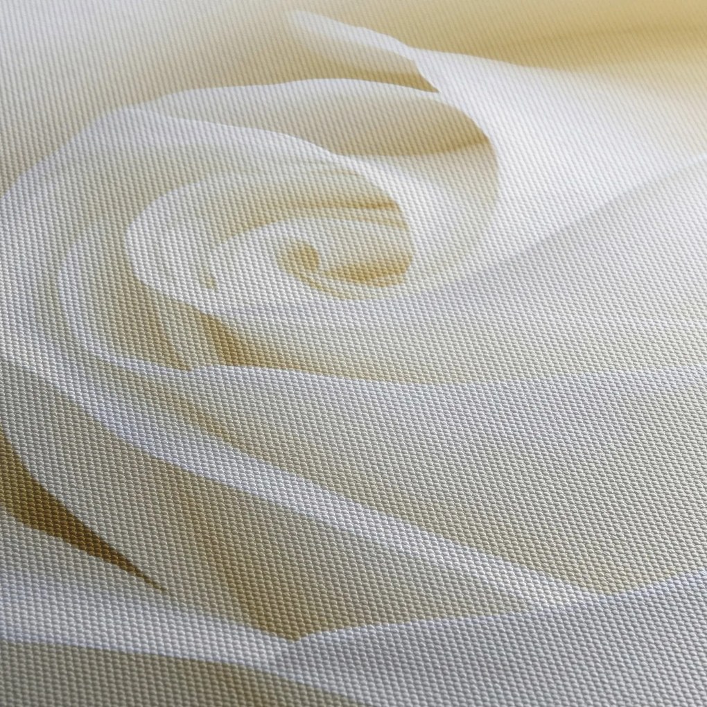 Tablou cu tandafir alb (cu ceas) (90x30 cm)