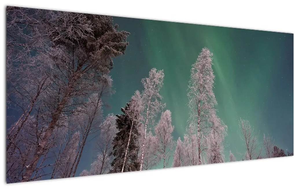 Tablou cu aurora borealis deasupra pomilor înghețați (120x50 cm)