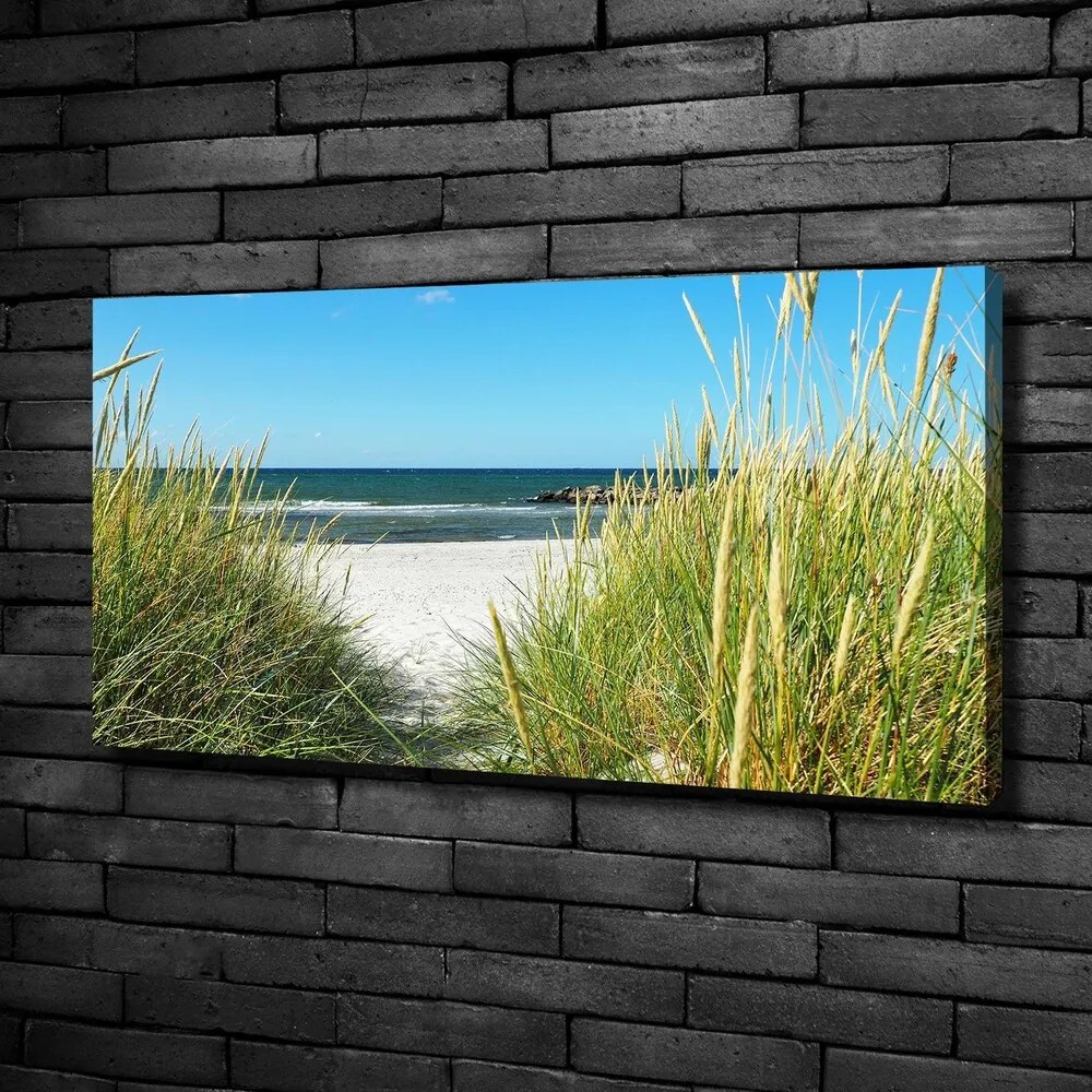 Tablou pe pânză canvas Dune de coastă