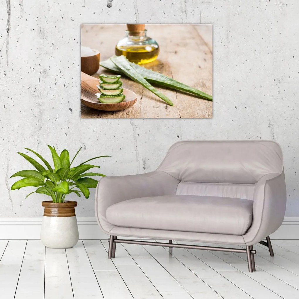 Tablou - Aloe vera (70x50 cm)