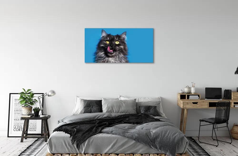 Tablouri canvas Oblizujący o pisică