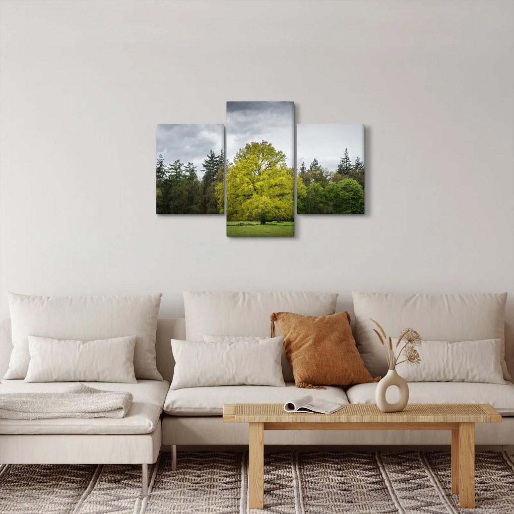 Tablou - Copac verde în câmp (90x60 cm)
