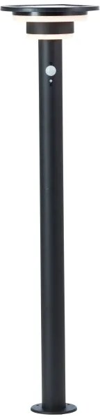 Lampă LED solară cu senzor Brilliant GARVINA LED/3W/3,7V 85 cm IP44 negru