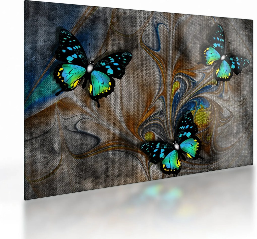 Tablou pe sticlă - Fluturi strălucitori în imagine (70x50 cm)