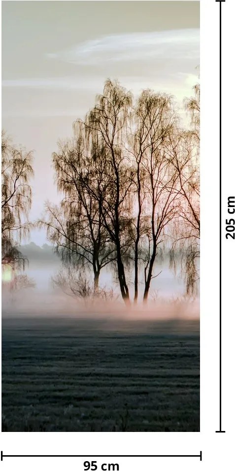 Fototapet pentru ușă - Ceața de dimineață (95x205cm)