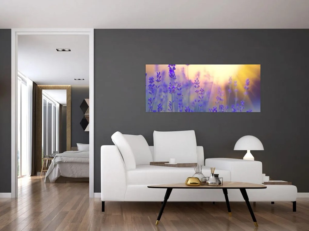 Tablou - Levănțică (120x50 cm)