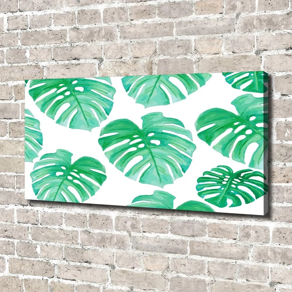 Tablouri tipărite pe pânză Monstera
