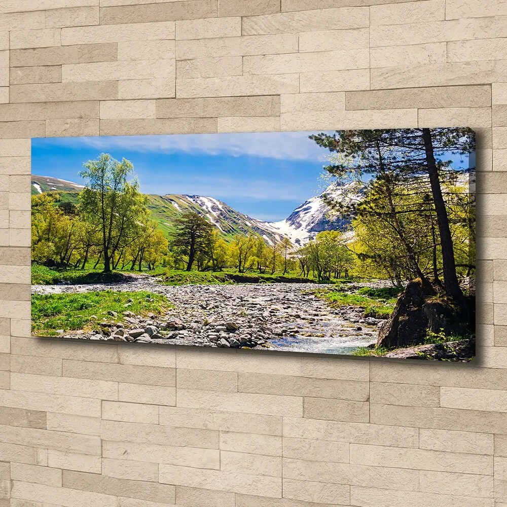 Pictură pe pânză River în munți