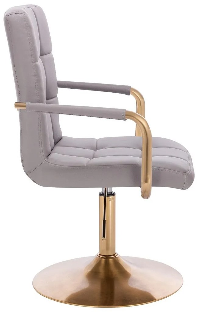 HC1015NP Scaun Gri Piele Ecologica Bază Aurie