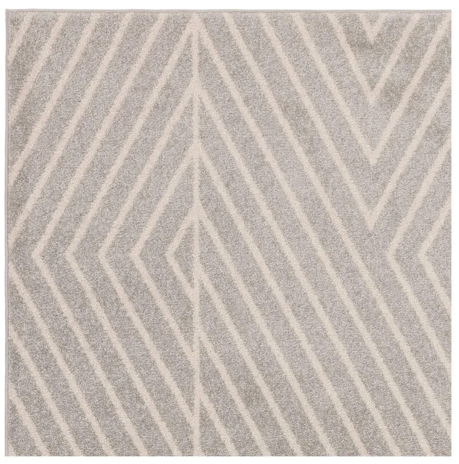 Covor gri deschis 120x170 cm Muse – Asiatic Carpets