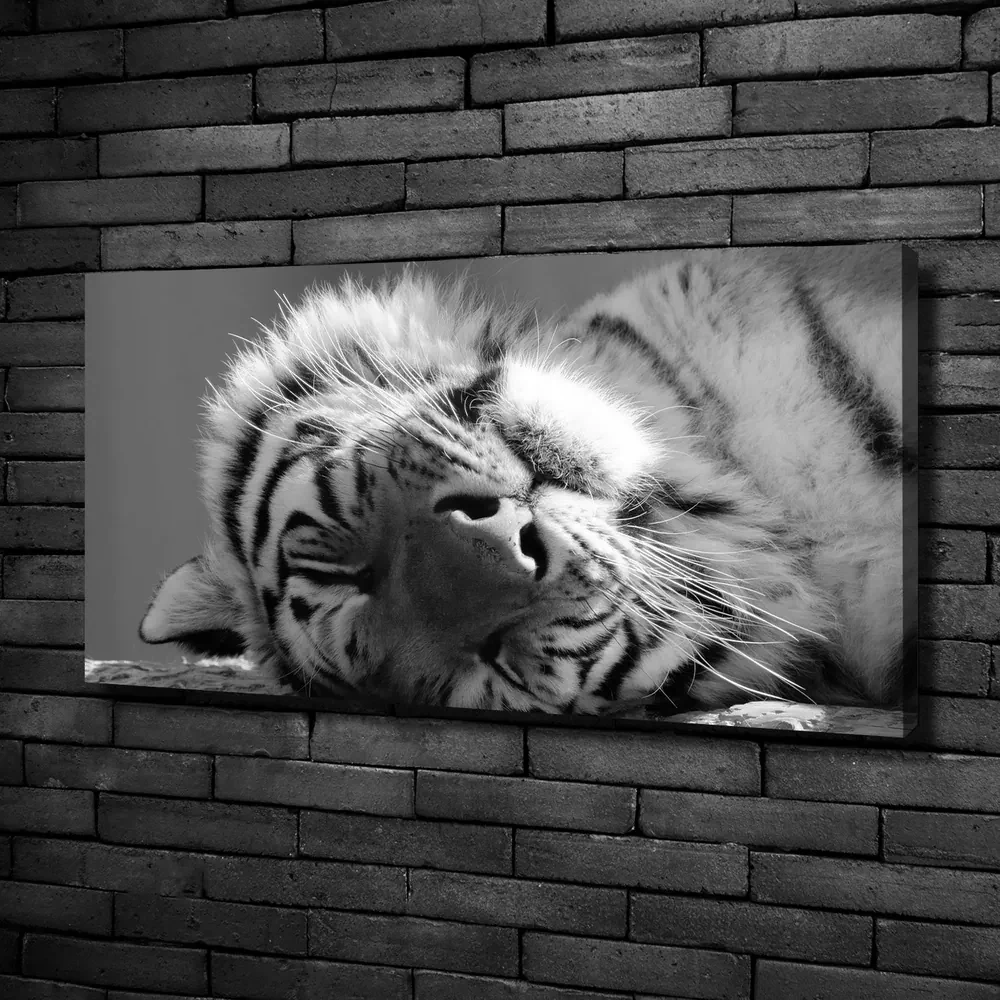 Tablou pe pânză canvas Dormit tigru
