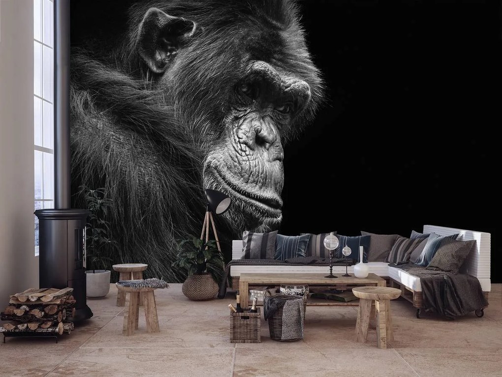 Fototapet - Gorila (152,5x104 cm)