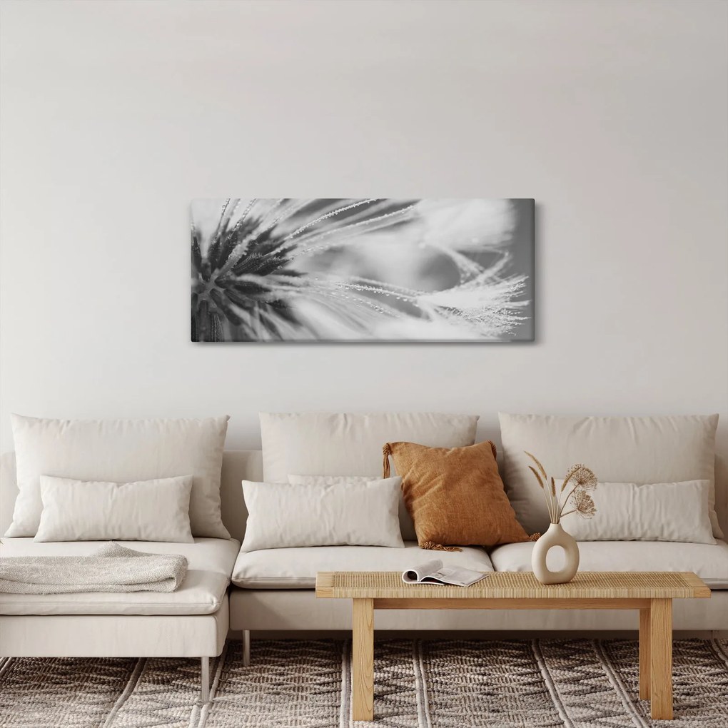 Tablou - Păpădie (120x50 cm)
