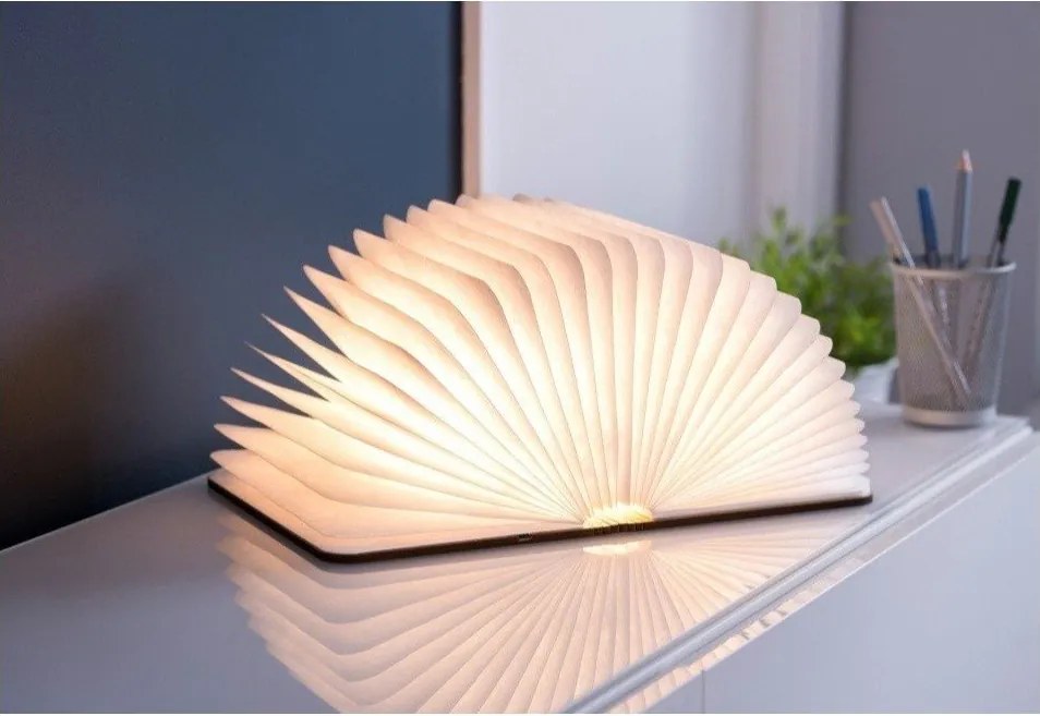 Decorațiune luminoasă maro cu USB Booklight – Gingko