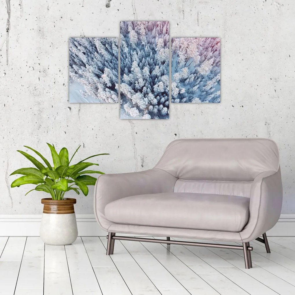 Tablou cu copaci înzăpeziți (90x60 cm)