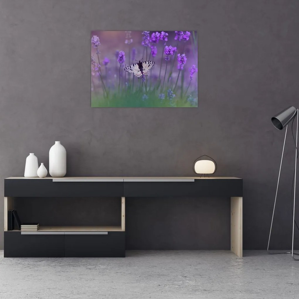 Tablou - fluture în lavandă (70x50 cm)