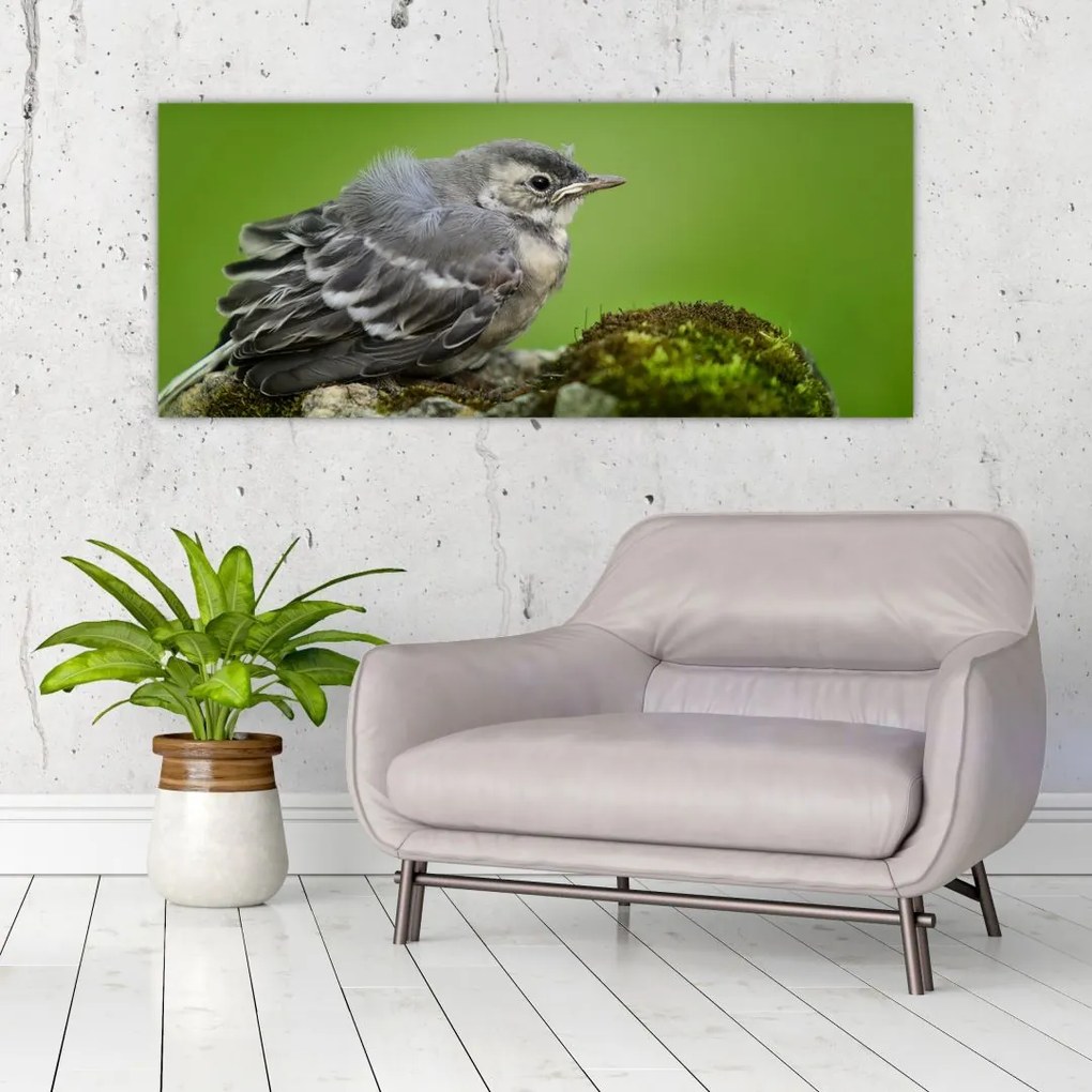 Tablou - Muscarul (120x50 cm)