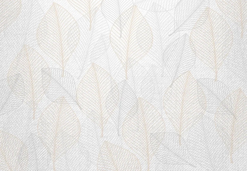Fototapet - Frunze delicate (147x102 cm)