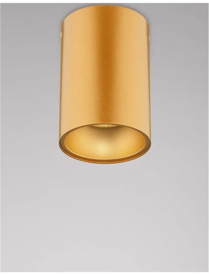 Spot aplicat tavan / plafon design modern minimalist NIDO auriu
