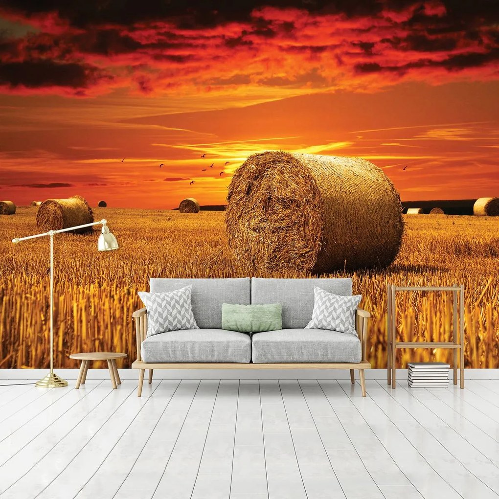 Fototapet - Câmp (152,5x104 cm)