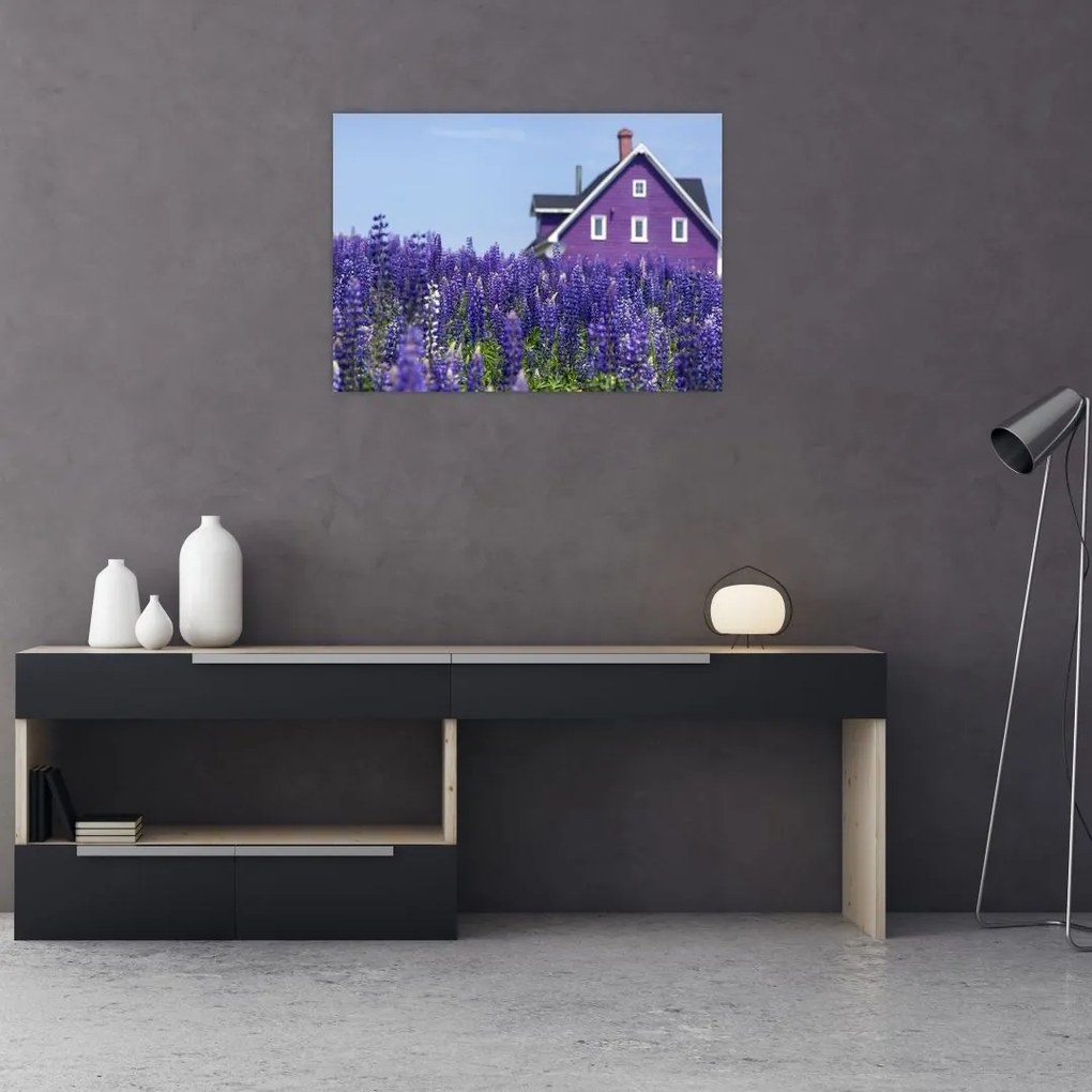 Tablou pe sticlă cu câmp de lavanda (70x50 cm)