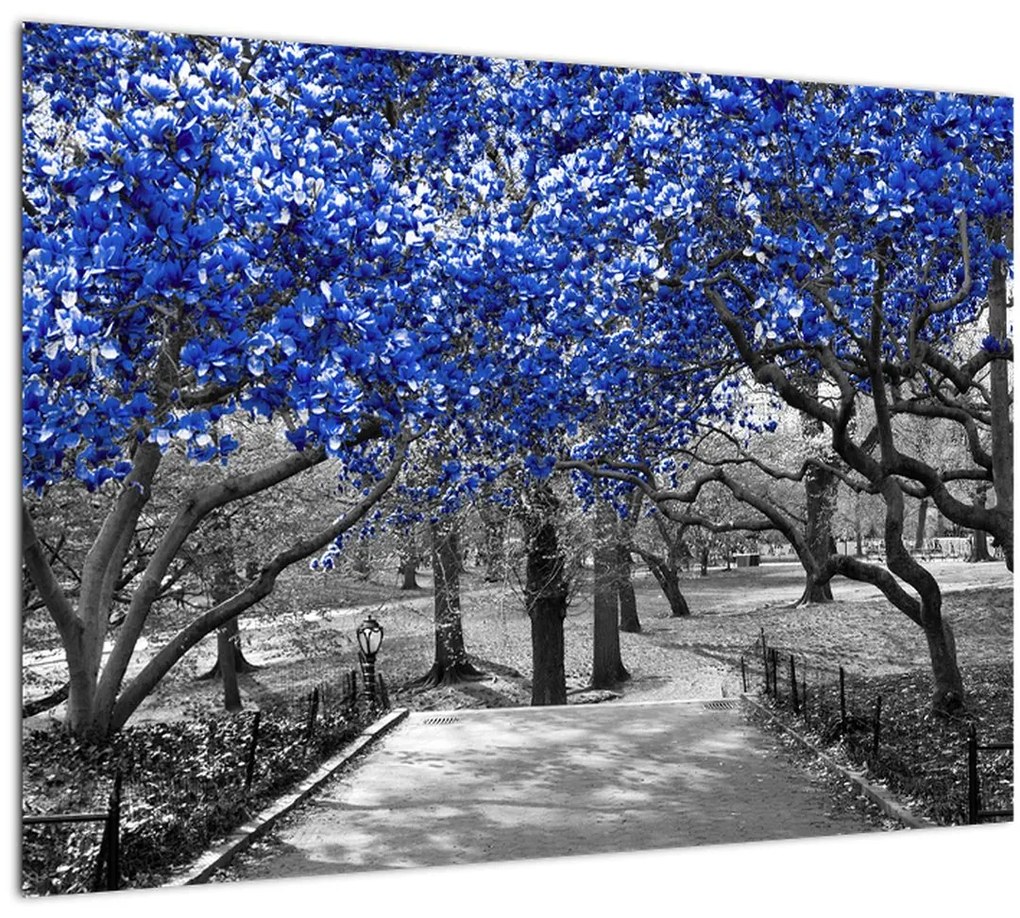 Tablou pe sticlă - Copaci albaștri Central Park, New York (70x50 cm)
