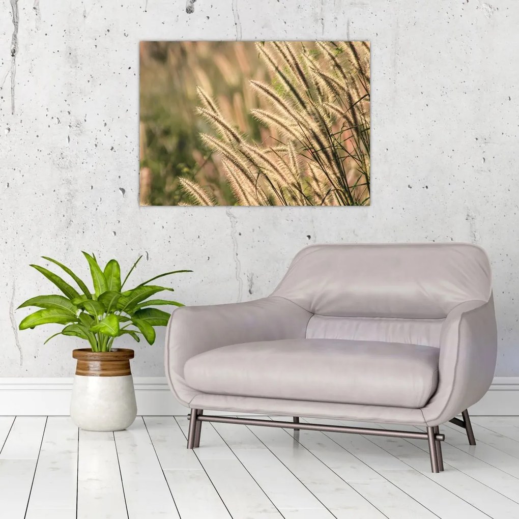 Tablou - Cereale (70x50 cm)