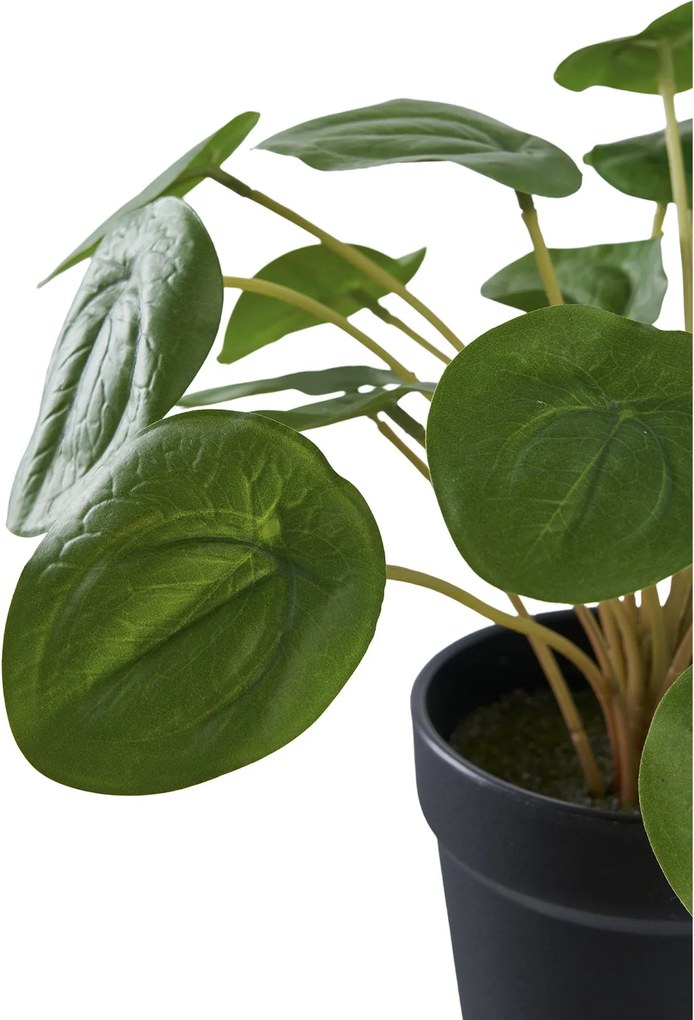 Plantă artificială Panselia (verde). Promo -7%. 1147283