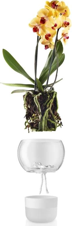 Ghiveci din sticlă pentru orhidee cu sistem de auto-irigare, diametru 15cm, eva solo