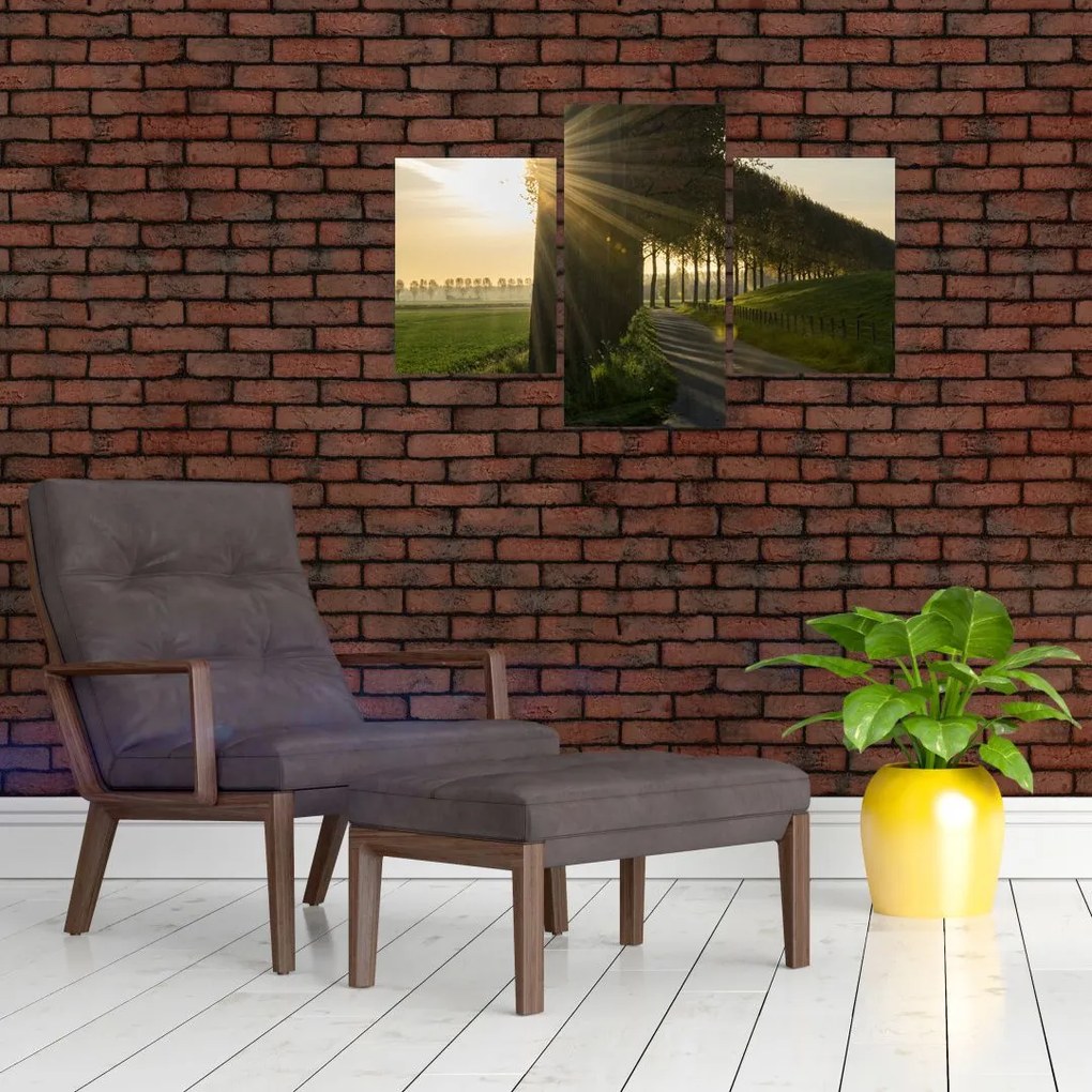 Tablou cu alee (90x60 cm)