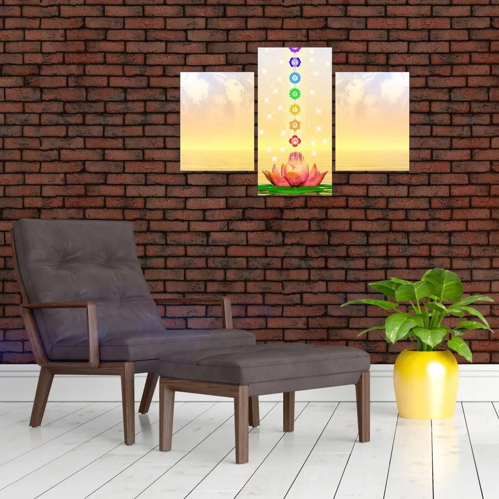 Tablou - Chakrele (90x60 cm)