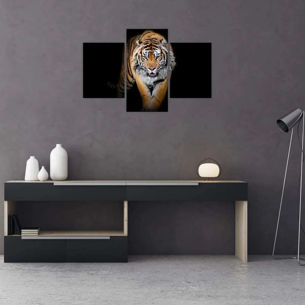 Tablou - Tiger (90x60 cm)