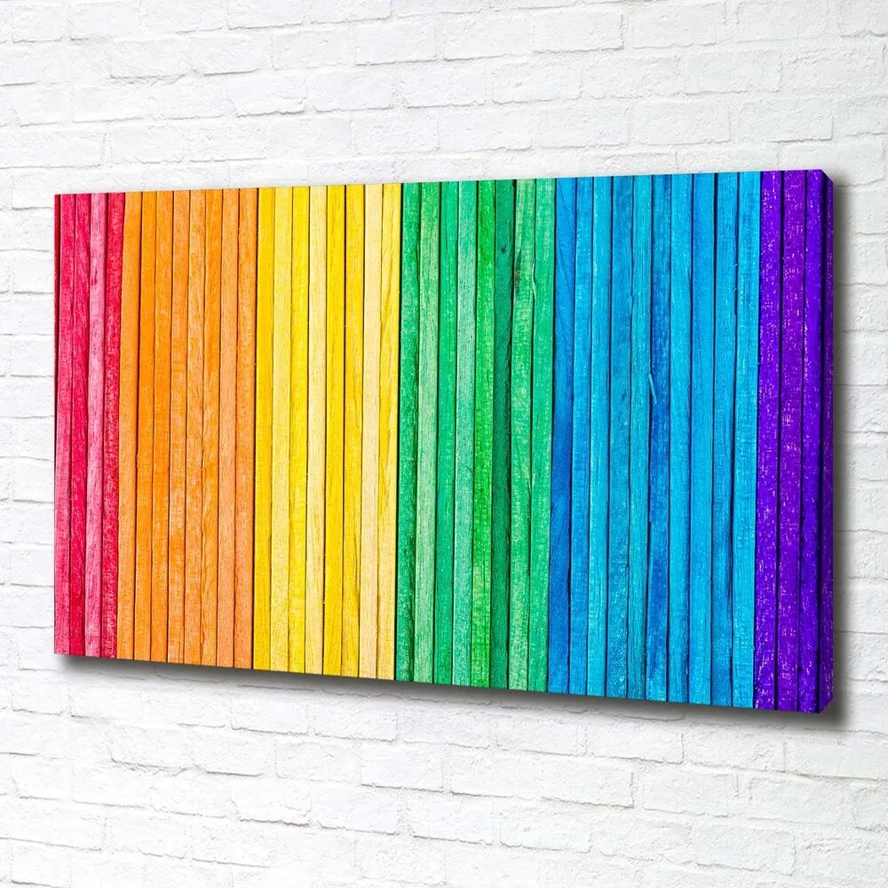 Tablou canvas Dungi colorate