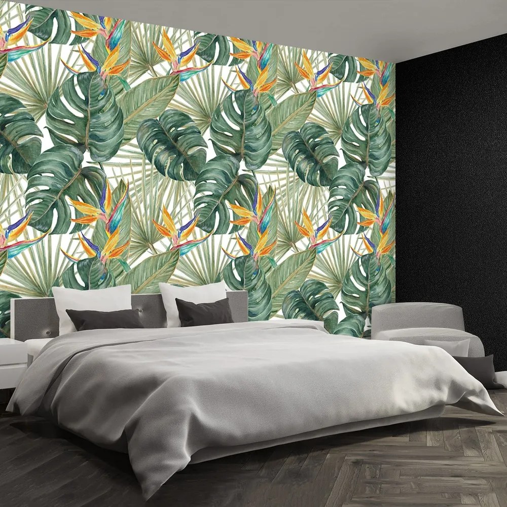 Fototapet Plante exotice