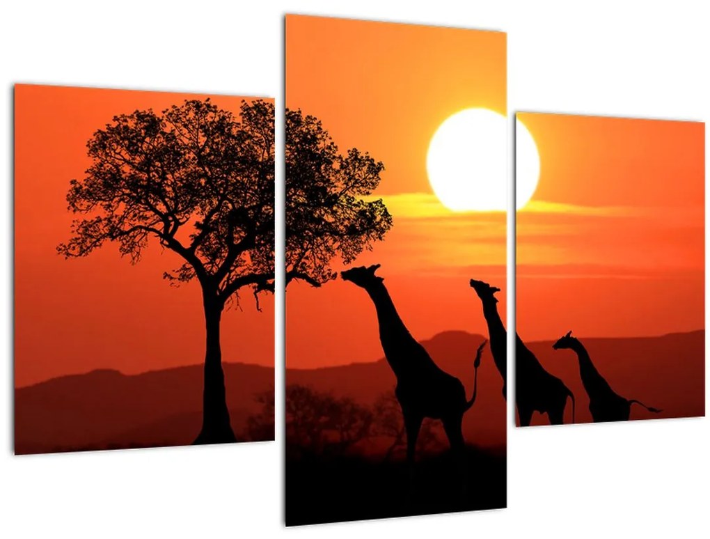 Tablou cu girafe în apus de soare (90x60 cm)