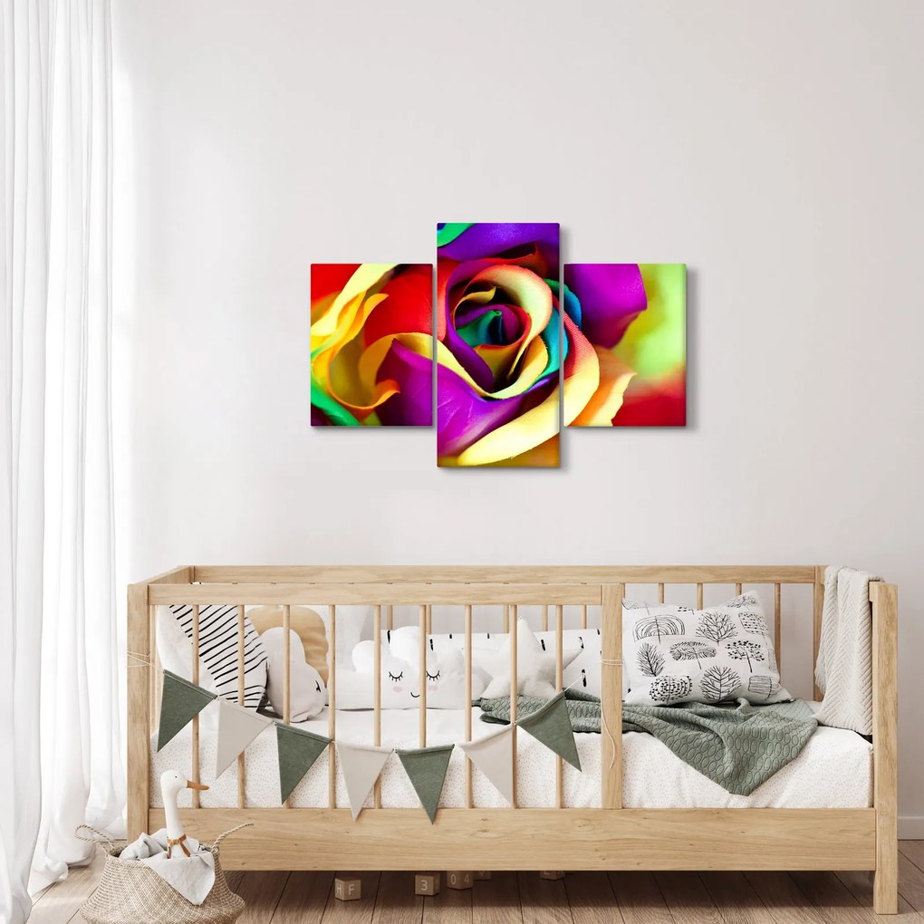 Tablou - Trandafir colorat (90x60 cm)