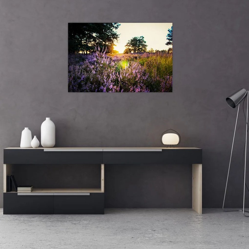 Tablou - Câmp cu lavandă (90x60 cm)