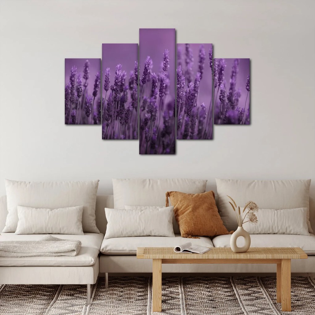 Tablou - Lavanda (150x105 cm)