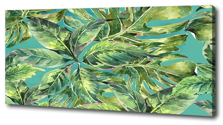 Tablou pe pânză canvas Frunze tropicale