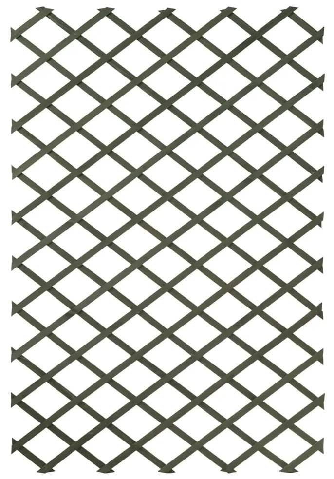 Nature Spalier de gradina, verde, 100 x 200 cm, lemn, 6041704 1, Verde, 100 x 200 cm