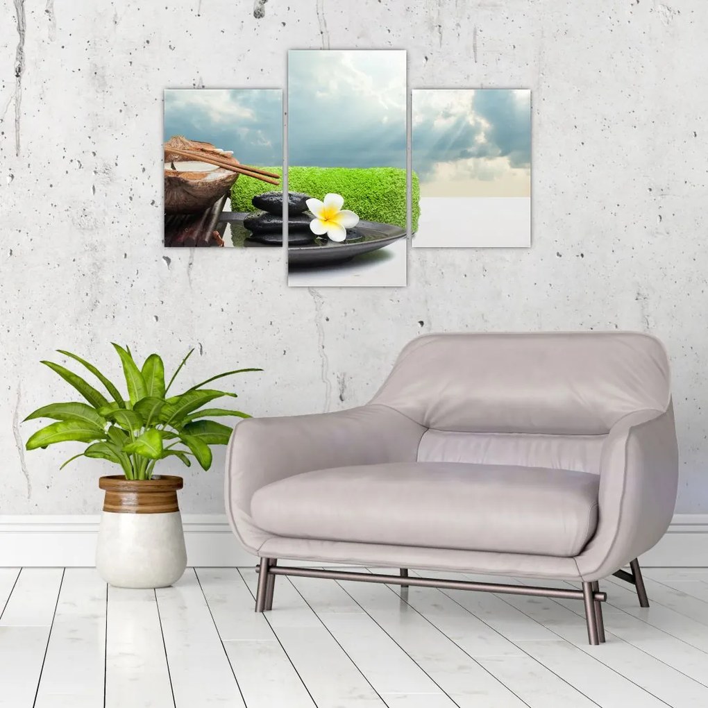 Tablou - Spa and relax (90x60 cm)