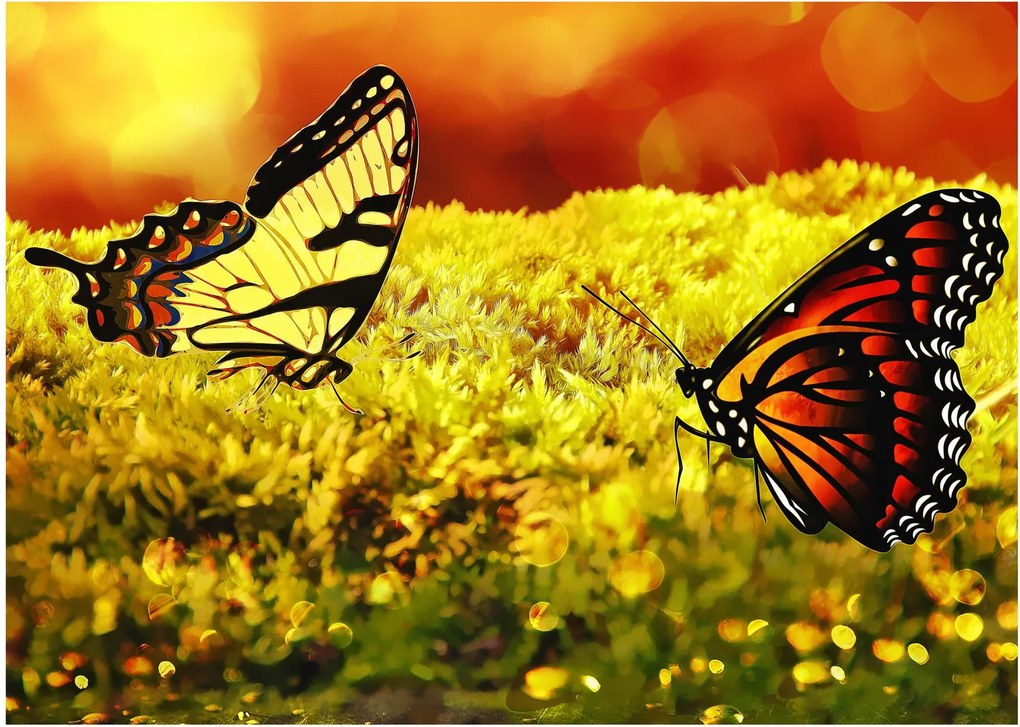 Tablou pe sticlă cu fluturi (70x50 cm)