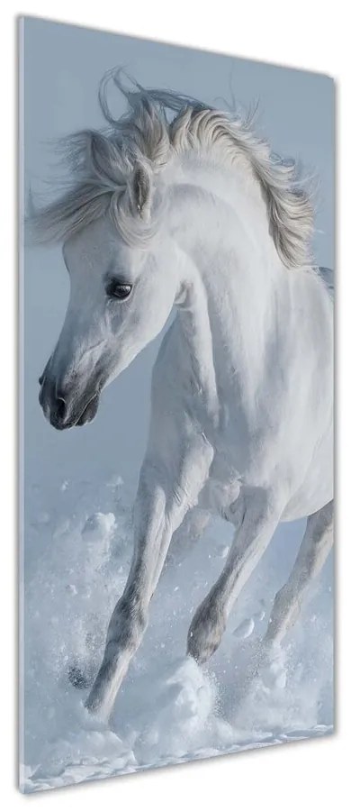 Tablou acrilic Cal alb în galop