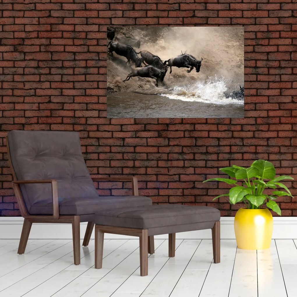 Tablou - Turmă de gnu (90x60 cm)