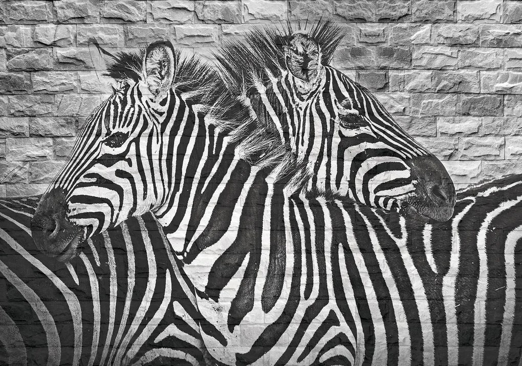 Fototapet - Zebre pe peretele din cărămizi (254x184 cm)